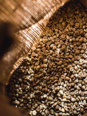 caffe-verde-sacco-vending-gourmet-300x400-1-300x400-ok
